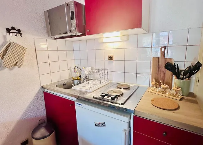 Apartment Le Lauvitel - 2 Pieces - 6 Min A Pieds Des Pistes *