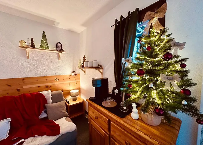 Apartment Le Lauvitel - 2 Pieces - 6 Min A Pieds Des Pistes