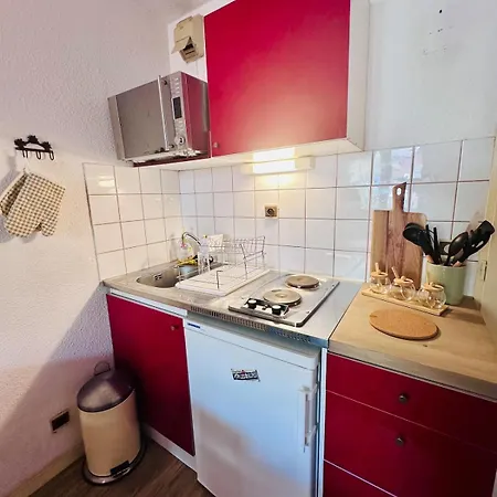 Apartamento Le Lauvitel - 2 Pieces - 6 Min A Pieds Des Pistes *