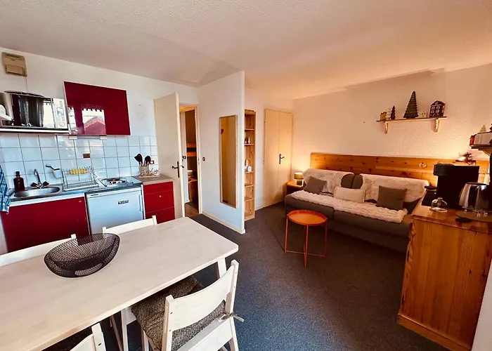 Le Lauvitel - 2 Pieces - 6 Min A Pieds Des Pistes Apartment Les Deux Alpes