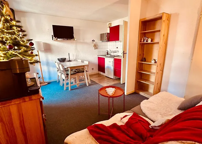 Le Lauvitel - 2 Pieces - 6 Min A Pieds Des Pistes * Les Deux Alpes